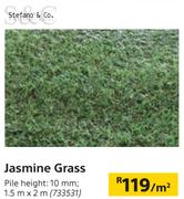 Stefano & Co. Jasmine Grass-1.5m x 2m Per Sqm