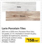 Larix Porcelain Tiles-300mm x 1000mm Per Sqm