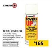 Zinsser Covers Up-384ml