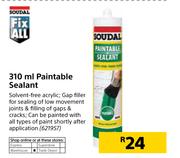 Soudal Paintable Sealant-310ml
