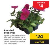 Assorted Seedlings