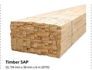 Timber Sap 38mm X 38mm x 6m-Each