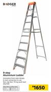 Badger 9 Step Aluminium Ladder