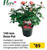 Flora 140mm Rose Pot