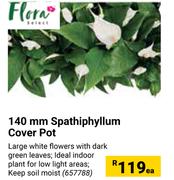 140mm Spathiphyllum Cover Pot-Each