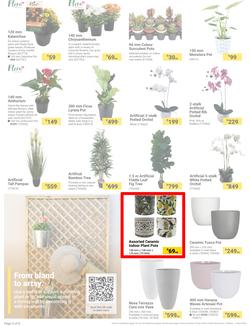 Builders : It's Mow, Prune, Weed & Feed Day (12 March - 08 April 2024), page 4