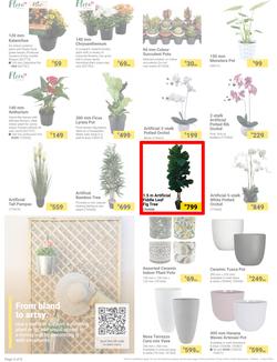 Builders : It's Mow, Prune, Weed & Feed Day (12 March - 08 April 2024), page 4