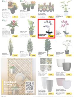 Builders : It's Mow, Prune, Weed & Feed Day (12 March - 08 April 2024), page 4
