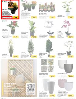 Builders : It's Mow, Prune, Weed & Feed Day (12 March - 08 April 2024), page 4