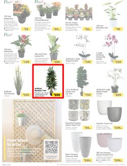 Builders : It's Mow, Prune, Weed & Feed Day (12 March - 08 April 2024), page 4