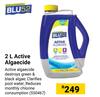 Blu 52 2L Active Algaecide