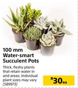 100mm Water Smart Succulent Pots-Each