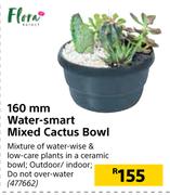 160mm Water Smart Mixed Cactus Bowl