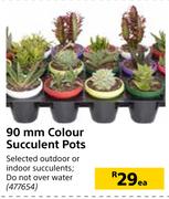 90mm Colour Succulent Pots-Each
