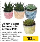 90mm Classic Succulents In Ceramic Pots-Each