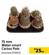 75mm Water Smart Cactus Pots Assorted-Each