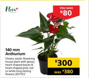 Flora 140mm Anthurium
