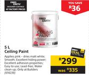 Fired Earth Ceiling Paint-5L