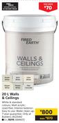 Fired Earth 20L Walls & Ceilings