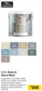 Fired Earth 2.5L Walls & Wood Matt