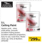 Fired Earth 5 Ceiling Paint-Each