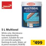Plascon 5L Multiseal