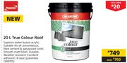 Plascon 20 L True Colour Roof