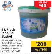 Ultra Clean Fresh Pine Gel Bucket-5Ltr