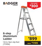 Badger 6-Step Aluminium Ladder