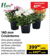 Flora 140mm Crisantemo-cada