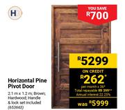 Horizontal Pine Pivot Door