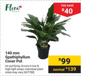 Flora 140mm Spathiphyllum Cover Pot