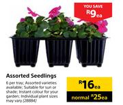 Assorted Seedlings-Each