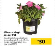 150 mm Magic Colour Pot