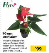 Flora 90mm Anthurium