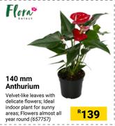 Flora 140mm Anthurium