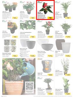 Builders : The Forecast Is Sunny Let's Get Outside (02 January - 29 January 2024), page 2