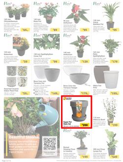 Builders : The Forecast Is Sunny Let's Get Outside (02 January - 29 January 2024), page 2