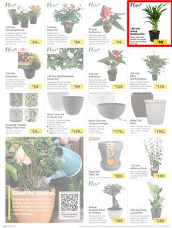 Builders : The Forecast Is Sunny Let's Get Outside (02 January - 29 January 2024), page 2