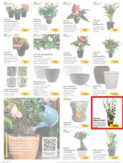 Builders : The Forecast Is Sunny Let's Get Outside (02 January - 29 January 2024), page 2
