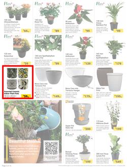 Builders : The Forecast Is Sunny Let's Get Outside (02 January - 29 January 2024), page 2