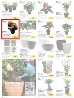 Builders : The Forecast Is Sunny Let's Get Outside (02 January - 29 January 2024), page 2
