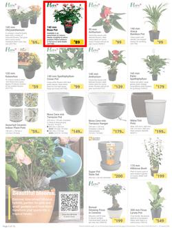 Builders : The Forecast Is Sunny Let's Get Outside (02 January - 29 January 2024), page 2