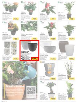 Builders : The Forecast Is Sunny Let's Get Outside (02 January - 29 January 2024), page 2