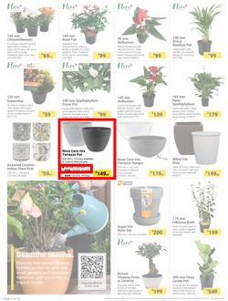Builders : The Forecast Is Sunny Let's Get Outside (02 January - 29 January 2024), page 2