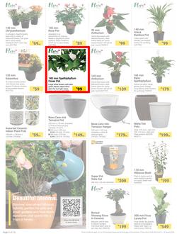 Builders : The Forecast Is Sunny Let's Get Outside (02 January - 29 January 2024), page 2