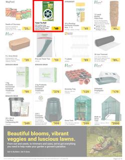 Builders : The Forecast Is Sunny Let's Get Outside (02 January - 29 January 2024), page 3