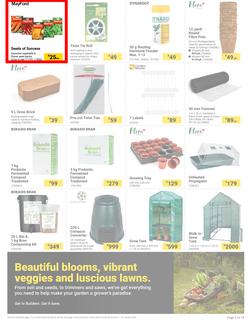 Builders : The Forecast Is Sunny Let's Get Outside (02 January - 29 January 2024), page 3