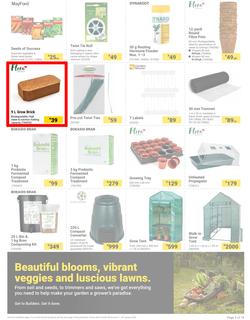 Builders : The Forecast Is Sunny Let's Get Outside (02 January - 29 January 2024), page 3
