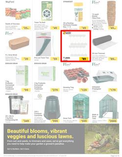 Builders : The Forecast Is Sunny Let's Get Outside (02 January - 29 January 2024), page 3